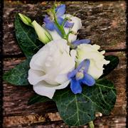 White rose and blue Delphinium