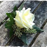 White  rose with eucalyptus berry