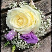 White rose with lisianthus and gyp corsage