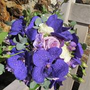  Opulent Blue Vanda orchid Bridal handtie
