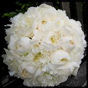 Sumptuous Duchesse peony Bridal Bouquet 