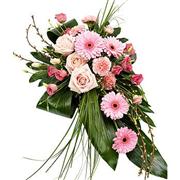  Single Ended Spray Pink