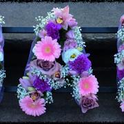 Nan mix of purple and pink
