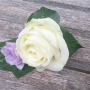 White Rose and Lisianthus Groom button hole