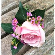 Pale Pink rose and wax flower