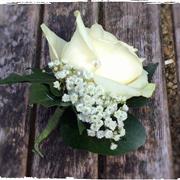 White rose and gyp