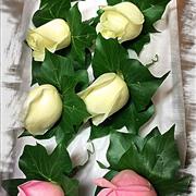 Single rose any colour