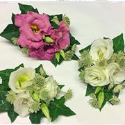 Lisianthus any colour