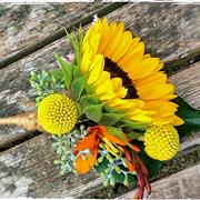 Sunflower mix and Berry
