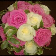 White and Pink Roses