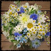 Fresh as a daisy Bridal Bouquet