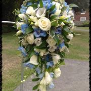 White Freesia and Delphinium