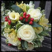 White Roses and Cream Lysiantus