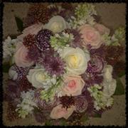 White and Pink Akito