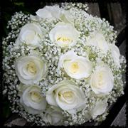 White avalanche and Gyp