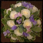 White rose and Blue Freesia