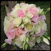 Brides dream