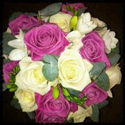 Sweet Cerise