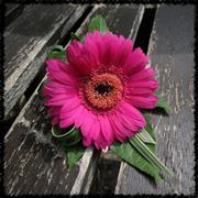 Cerise Gem 