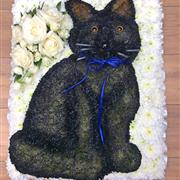 Black Cat Floral Tribute