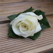 white rose and Ivy