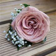 Cappuccino rose with Gyp 