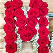 Rose and Gypsyphilia letter