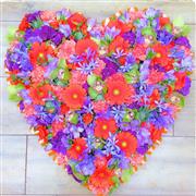 Heart vibrant