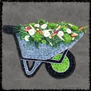 Wheelbarrow flowers and Veg