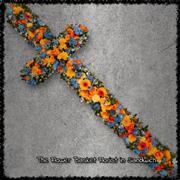 Cross Orange 