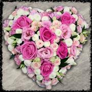 Loose Pink Aqua Heart