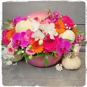 Autumn retro Pumpkin Special