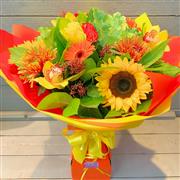 Autumn Burst