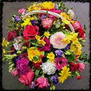 Basket Bright Light