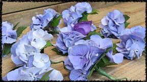 wedding bouquet hydrangea button holes