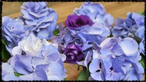 wedding bouquet hydrangea button holes